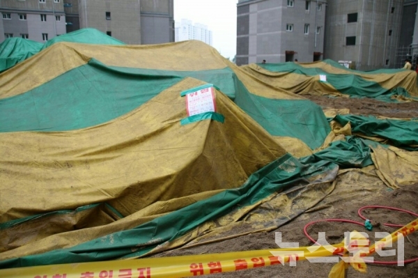 붉은불개미가 발견된 북구 아파트 건설현장.